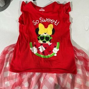 Minnie Mouse shirt and skirt